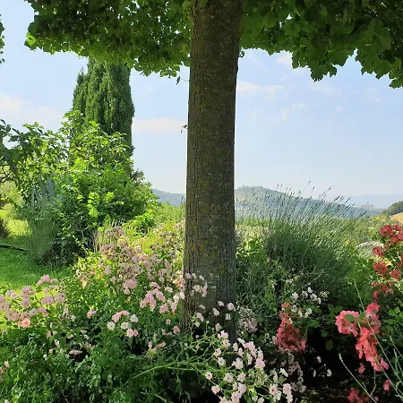 Casa rural Le Vignole Country House Asís