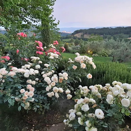 Le Vignole Country House Asís